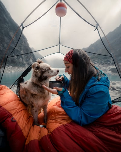 Wearing a blue jacket of the woman sitting next to the brown and white dog
